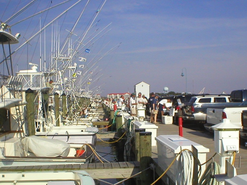 Deep Sea Fishing in Ocean City